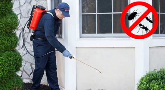 Atkaracalar Hamam Böceği İlaçlama böcek ilaçlama ve haşere kontrolü — ilaclama-tr.com